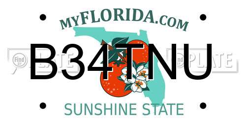 B34TNU Florida License Plate