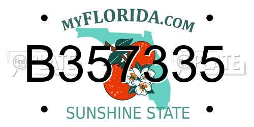 B357335 Florida License Plate