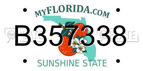 B357338 Florida License Plate