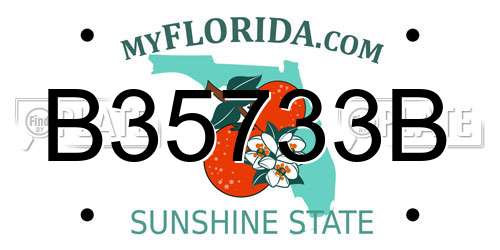 B35733B Florida License Plate