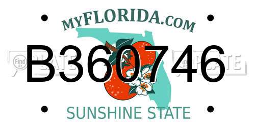 B360746 Florida License Plate