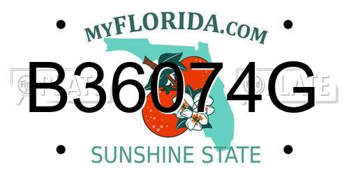B36074G Florida License Plate