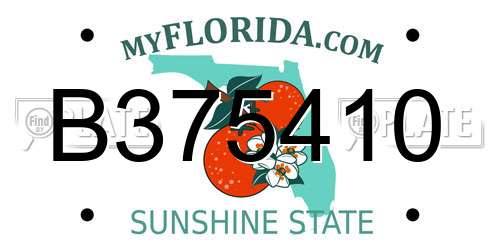 B375410 Florida License Plate