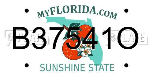 B37541O Florida License Plate