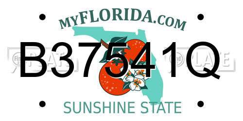 B37541Q Florida License Plate