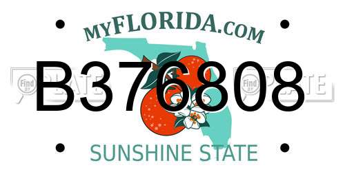 B376808 Florida License Plate