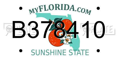 B378410 Florida License Plate