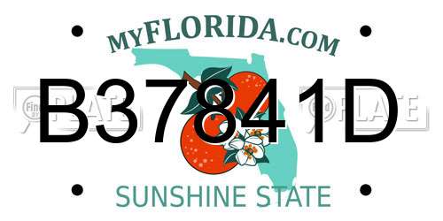 B37841D Florida License Plate