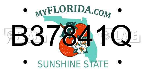 B37841Q Florida License Plate
