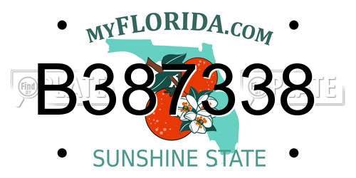B387338 Florida License Plate