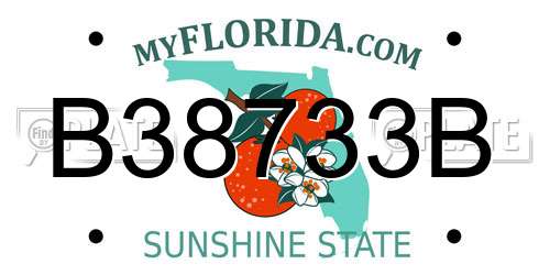 B38733B Florida License Plate