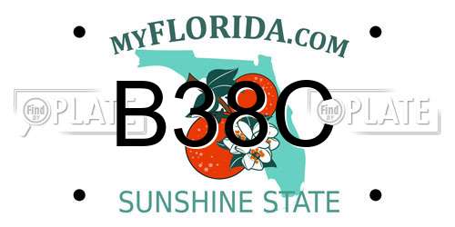B38C Florida License Plate