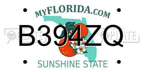 B394ZQ Florida License Plate
