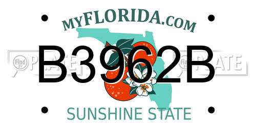 B3962B Florida License Plate