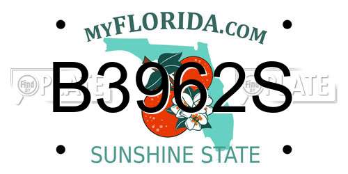 B3962S Florida License Plate