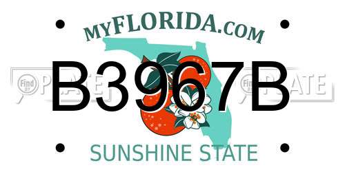 B3967B Florida License Plate