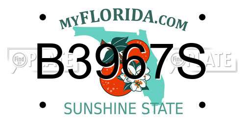 B3967S Florida License Plate
