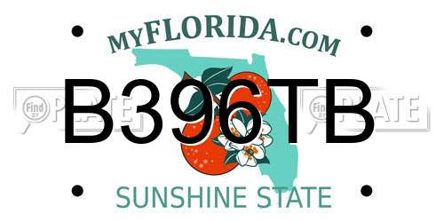 B396TB Florida License Plate