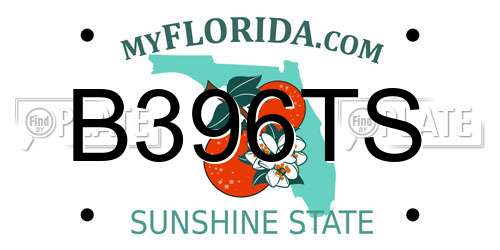 B396TS Florida License Plate