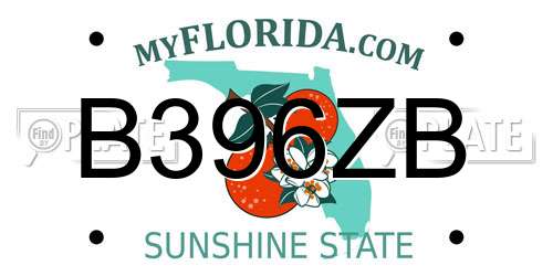 B396ZB Florida License Plate