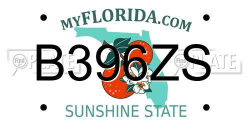 B396ZS Florida License Plate