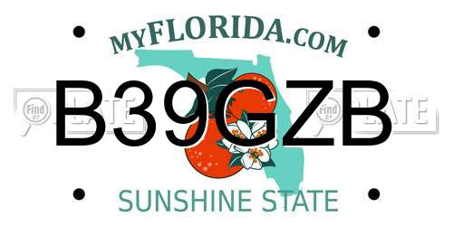 B39GZB Florida License Plate