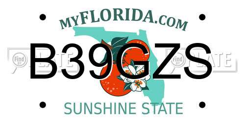 B39GZS Florida License Plate
