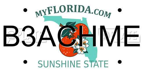 B3ACHME Florida License Plate