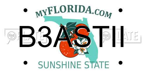B3ASTII Florida License Plate