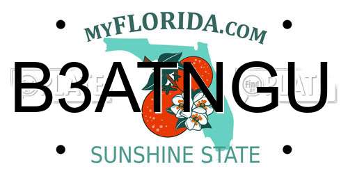 B3ATNGU Florida License Plate