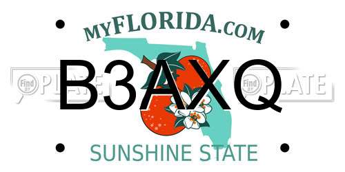 B3AXQ Florida License Plate