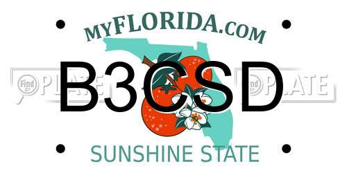 B3CSD Florida License Plate