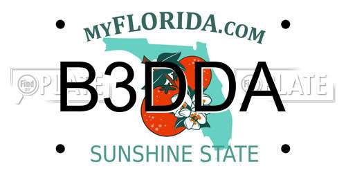 B3DDA Florida License Plate
