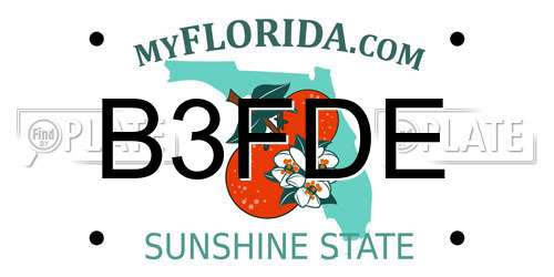 B3FDE Florida License Plate