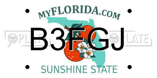 B3FGJ Florida License Plate