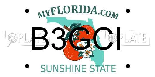 B3GCI Florida License Plate