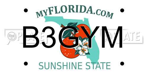 B3GYM Florida License Plate