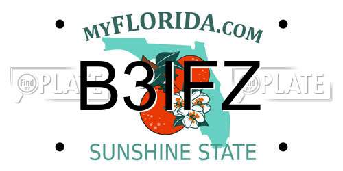B3IFZ Florida License Plate