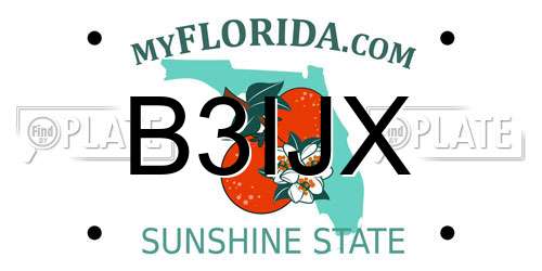 B3IJX Florida License Plate