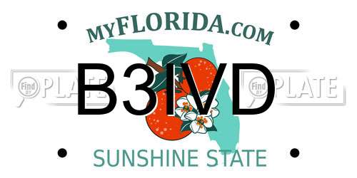 B3IVD Florida License Plate