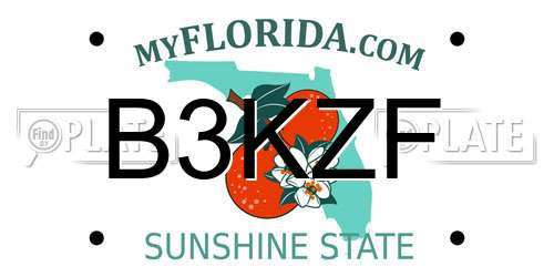 B3KZF Florida License Plate