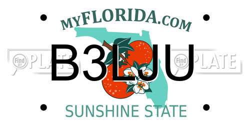 B3LJU Florida License Plate