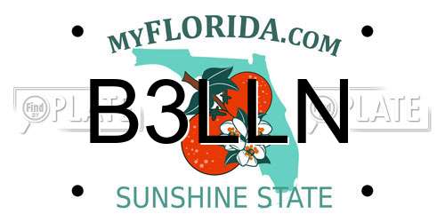 B3LLN Florida License Plate