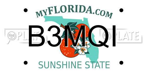 B3MQI Florida License Plate