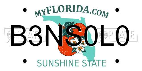 B3NS0L0 Florida License Plate