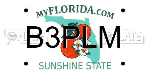 B3PLM Florida License Plate
