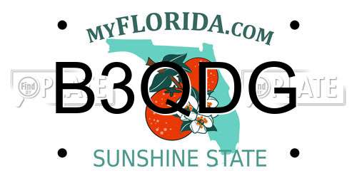 B3QDG Florida License Plate