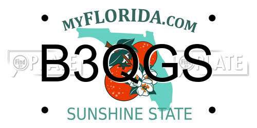 B3QGS Florida License Plate