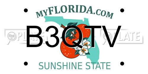 B3QTV Florida License Plate