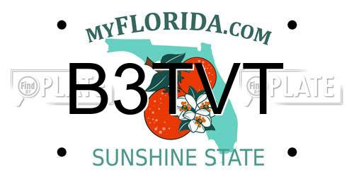 B3TVT Florida License Plate